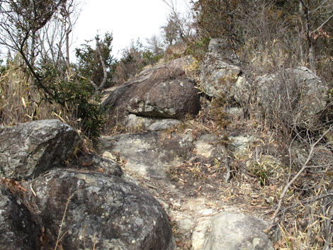 20140125hike (90)